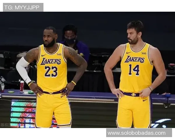 NBA历史胜率排行榜凯尔特人湖人马刺居前三森林狼排名垫底 NBA历史胜率排行榜凯尔特人湖人马刺居前三森林狼排名垫底